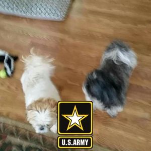 Meet your Posher, Greg